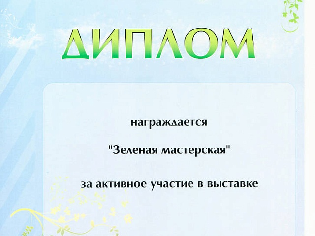 Сертификат 2